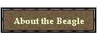 About the Beagle
