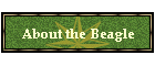 About the Beagle