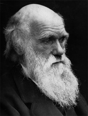 darwin beard.gif (41149 bytes)
