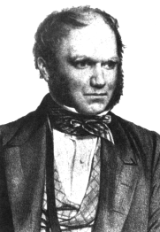 young darwin with scarf.gif (33239 bytes)